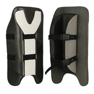 Goalie Protection
